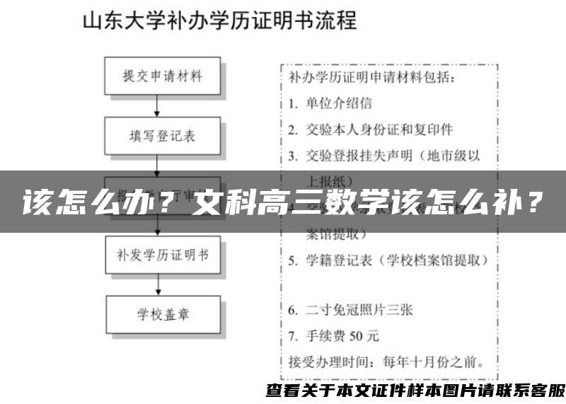 该怎么办？文科高三数学该怎么补？