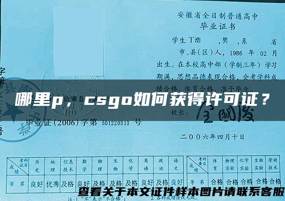 哪里p，csgo如何获得许可证？