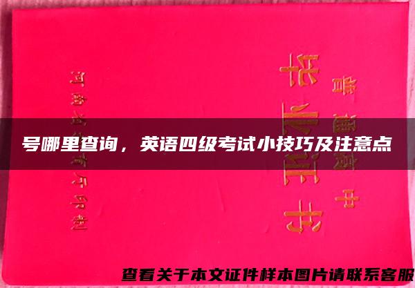 号哪里查询，英语四级考试小技巧及注意点