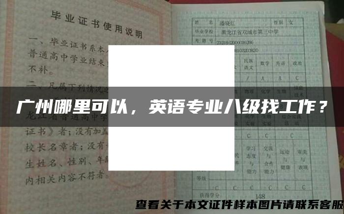 广州哪里可以，英语专业八级找工作？