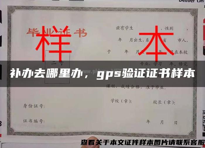 补办去哪里办，gps验证证书样本