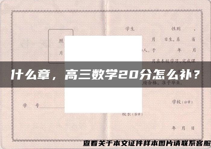 什么章，高三数学20分怎么补？