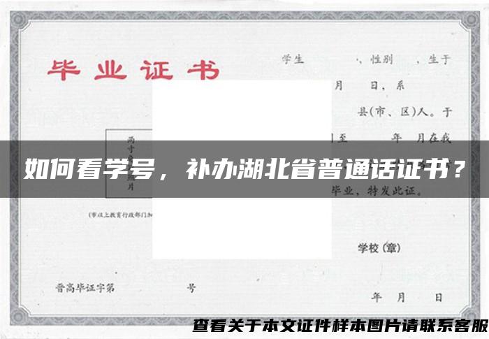 如何看学号，补办湖北省普通话证书？