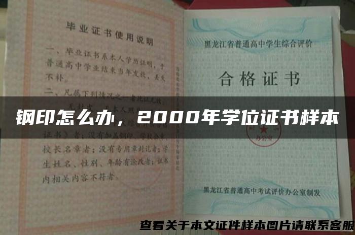 钢印怎么办，2000年学位证书样本