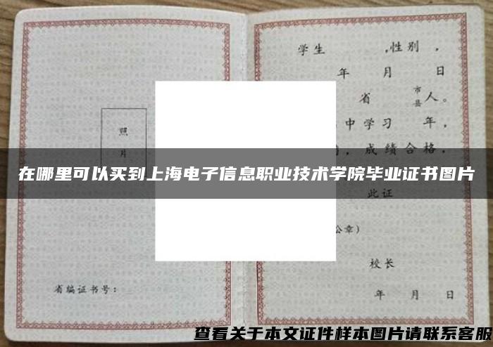 在哪里可以买到上海电子信息职业技术学院毕业证书图片