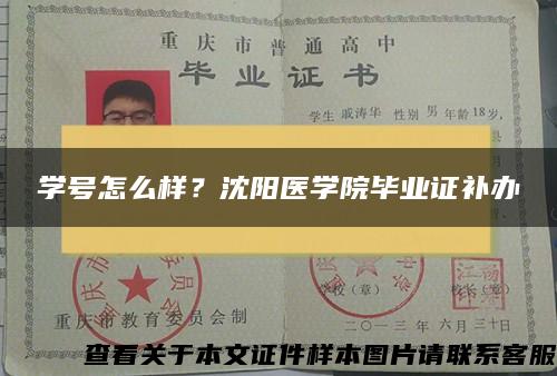 学号怎么样？沈阳医学院毕业证补办