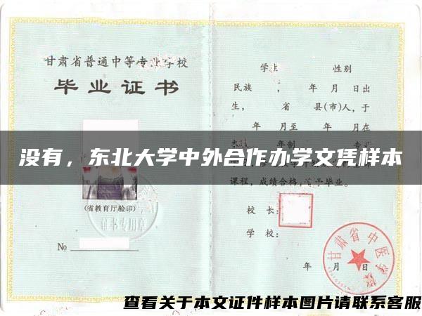 没有，东北大学中外合作办学文凭样本