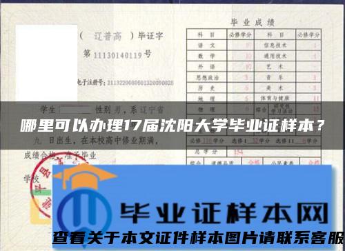 哪里可以办理17届沈阳大学毕业证样本？