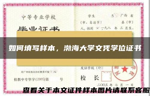 如何填写样本，渤海大学文凭学位证书