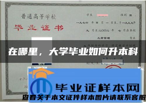 在哪里，大学毕业如何升本科