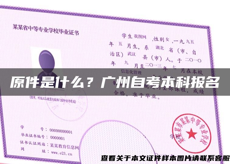 原件是什么？广州自考本科报名