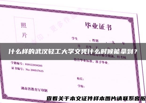 什么样的武汉轻工大学文凭什么时候能拿到？