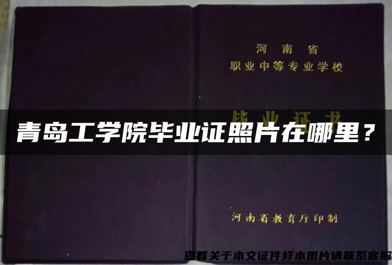 青岛工学院毕业证照片在哪里？