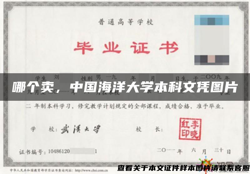 哪个卖，中国海洋大学本科文凭图片