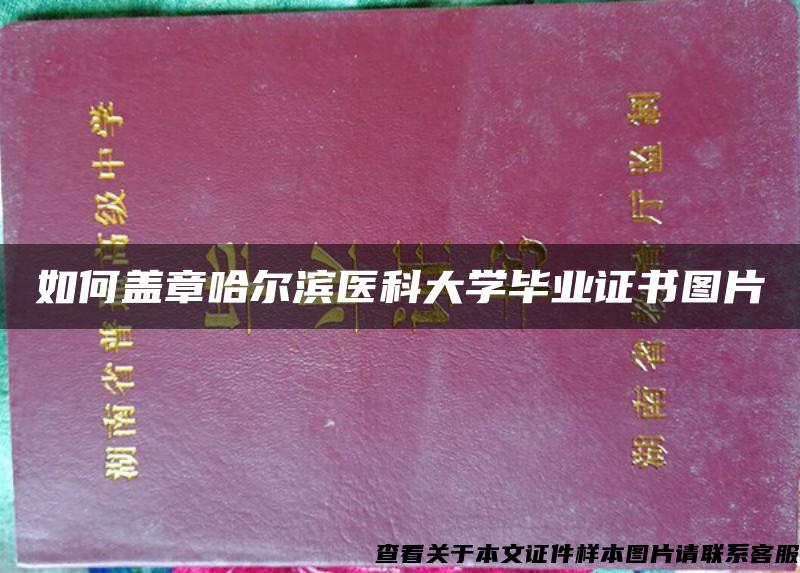 如何盖章哈尔滨医科大学毕业证书图片