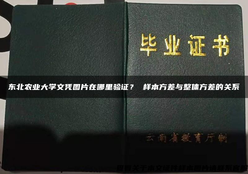 东北农业大学文凭图片在哪里验证？ 样本方差与整体方差的关系