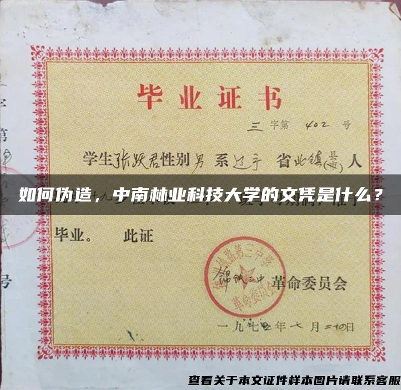 如何伪造，中南林业科技大学的文凭是什么？