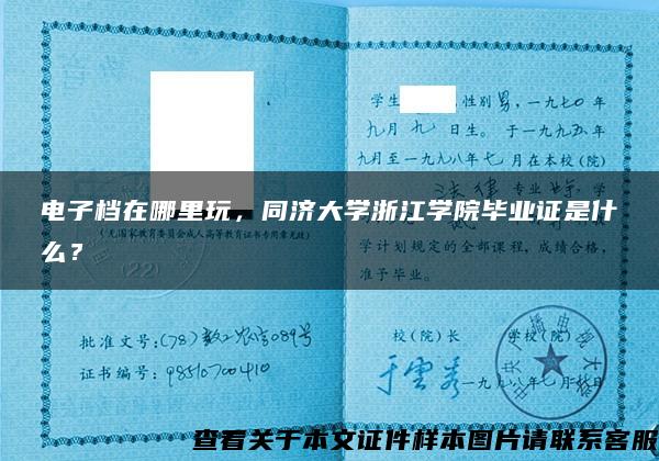 电子档在哪里玩，同济大学浙江学院毕业证是什么？