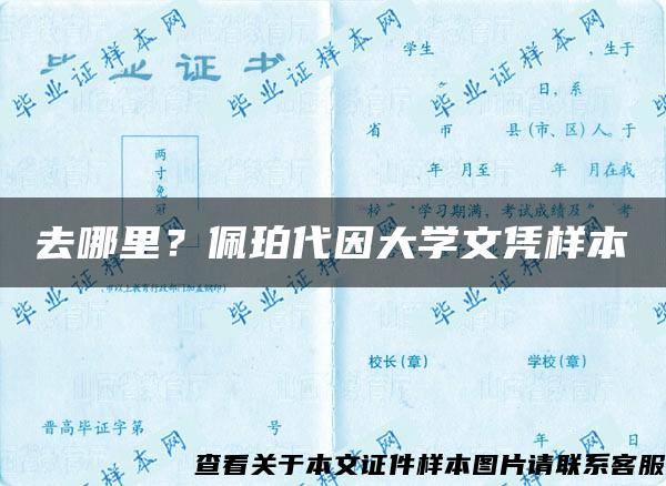 去哪里？佩珀代因大学文凭样本