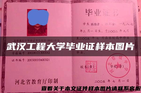 武汉工程大学毕业证样本图片