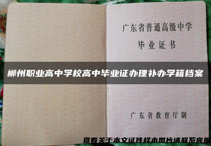 郴州职业高中学校高中毕业证办理补办学籍档案