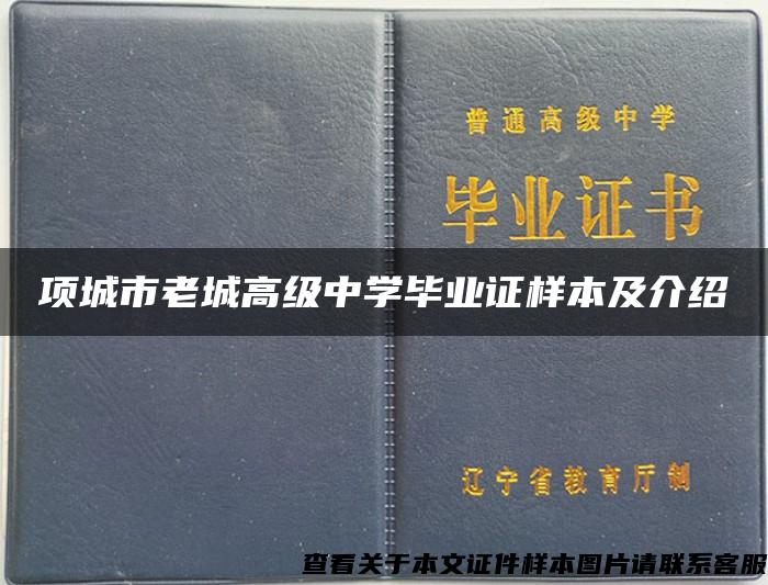 项城市老城高级中学毕业证样本及介绍