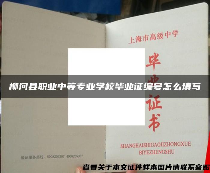 柳河县职业中等专业学校毕业证编号怎么填写