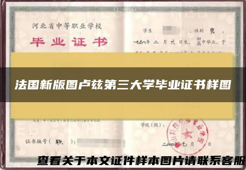 法国新版图卢兹第三大学毕业证书样图