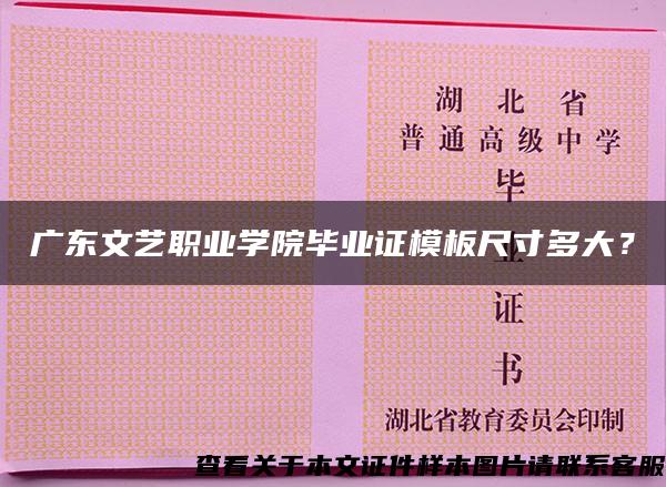 广东文艺职业学院毕业证模板尺寸多大？