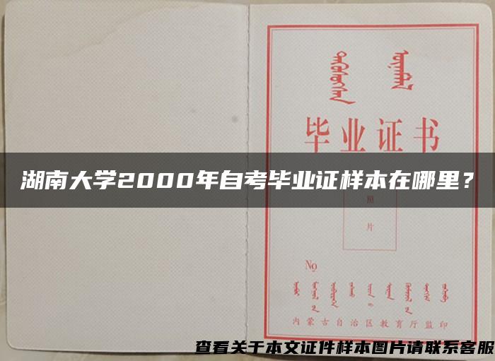 湖南大学2000年自考毕业证样本在哪里？