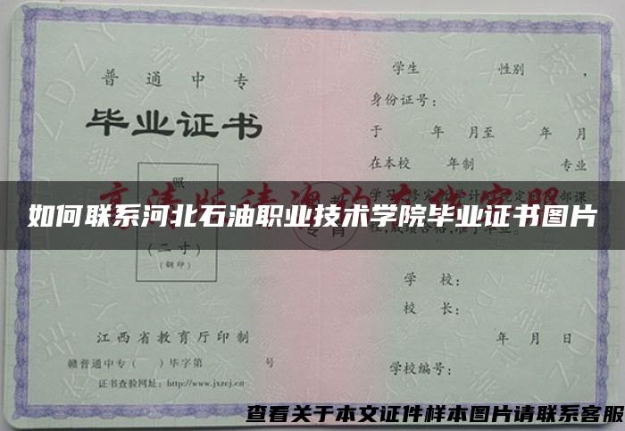 如何联系河北石油职业技术学院毕业证书图片