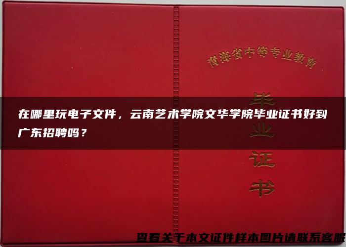 在哪里玩电子文件，云南艺术学院文华学院毕业证书好到广东招聘吗？