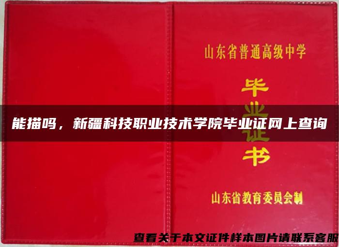 能描吗，新疆科技职业技术学院毕业证网上查询