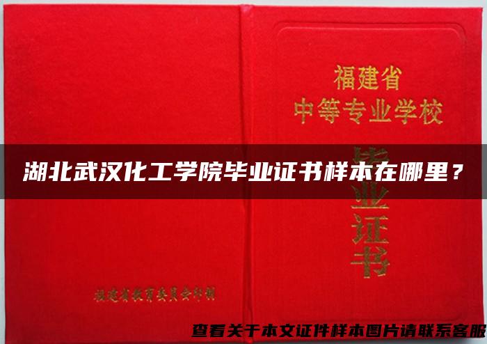 湖北武汉化工学院毕业证书样本在哪里？