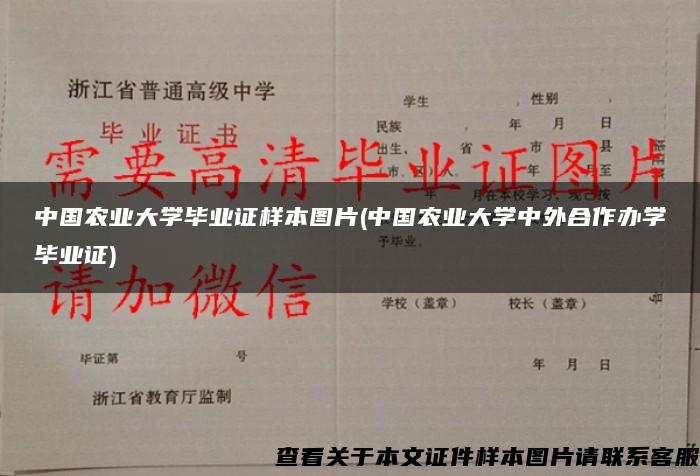 中国农业大学毕业证样本图片(中国农业大学中外合作办学毕业证)