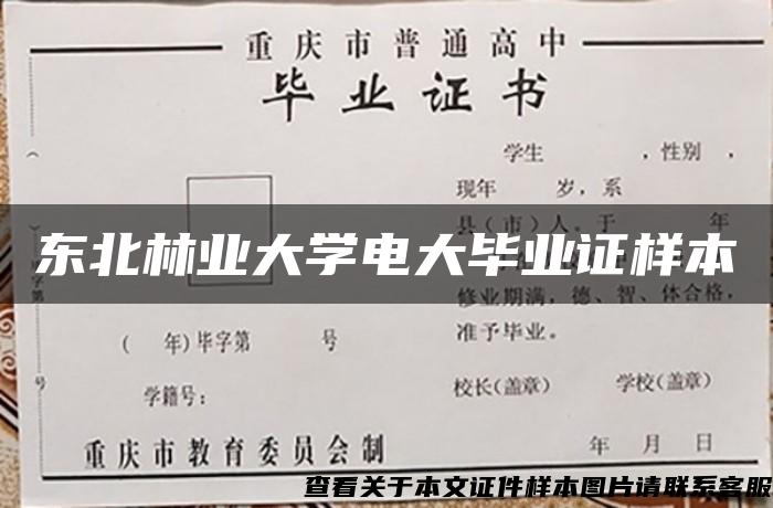 东北林业大学电大毕业证样本