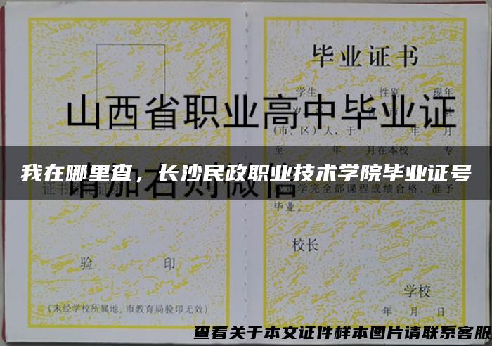 我在哪里查，长沙民政职业技术学院毕业证号