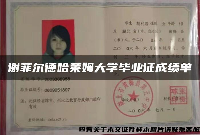 谢菲尔德哈莱姆大学毕业证成绩单