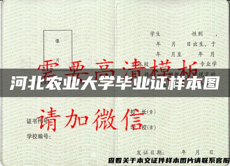 河北农业大学毕业证样本图