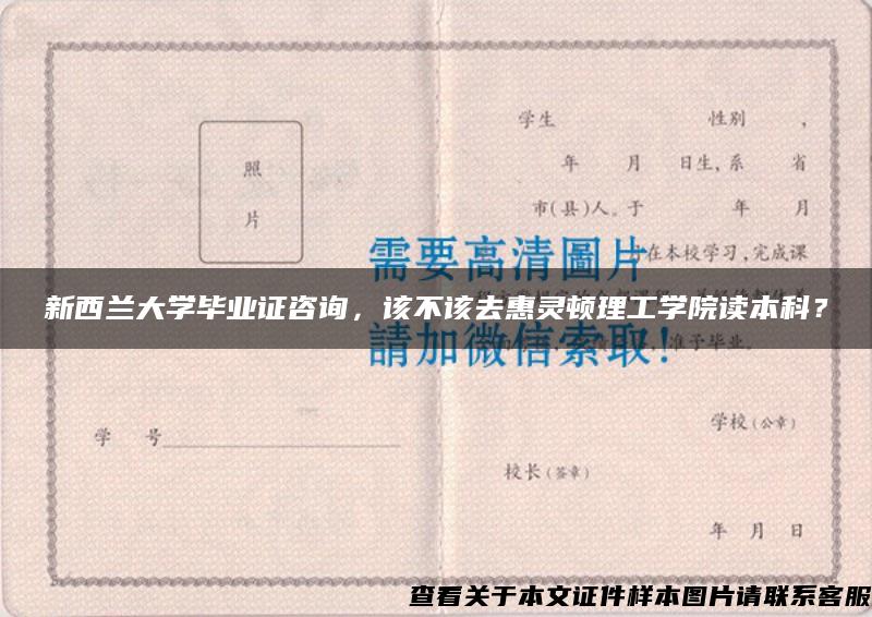 新西兰大学毕业证咨询，该不该去惠灵顿理工学院读本科？