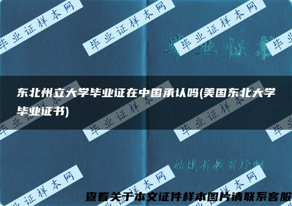 东北州立大学毕业证在中国承认吗(美国东北大学毕业证书)