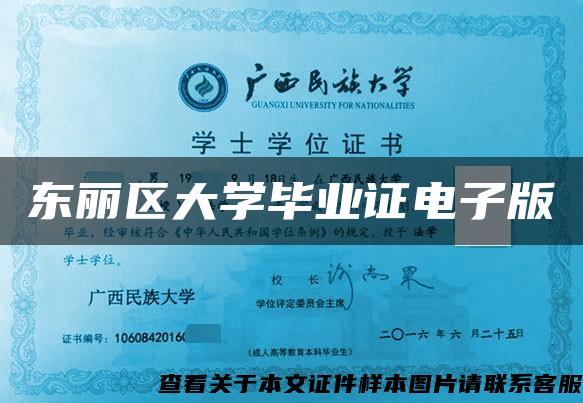 东丽区大学毕业证电子版