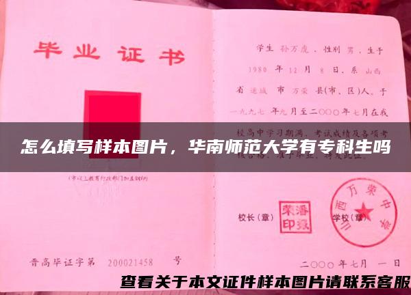 怎么填写样本图片，华南师范大学有专科生吗