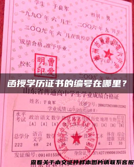 函授学历证书的编号在哪里？