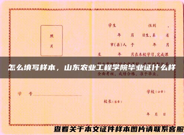 怎么填写样本，山东农业工程学院毕业证什么样