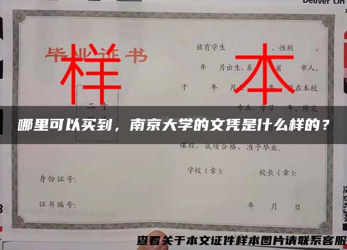 哪里可以买到，南京大学的文凭是什么样的？