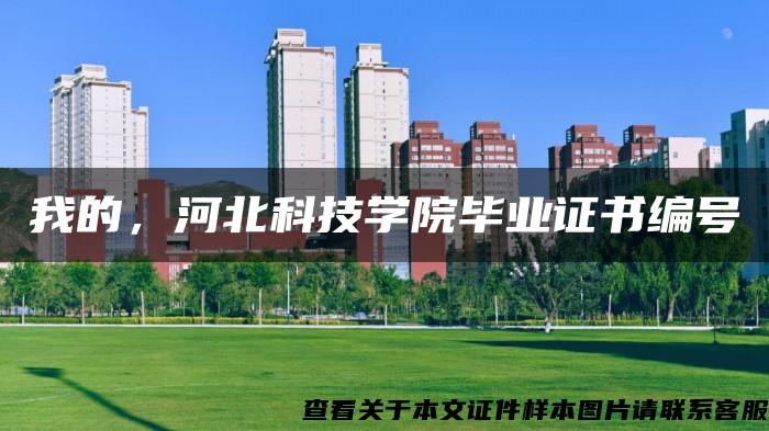 我的，河北科技学院毕业证书编号