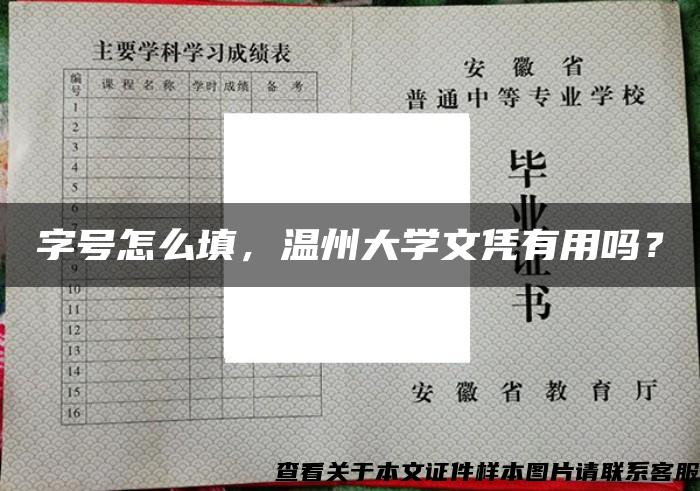 字号怎么填，温州大学文凭有用吗？