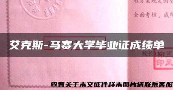 艾克斯-马赛大学毕业证成绩单