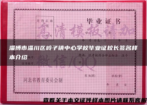 淄博市淄川区岭子镇中心学校毕业证校长签名样本介绍